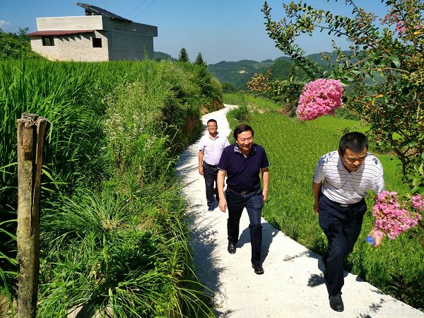 1501948002772036446.jpg C360_2017-07-26-10-05-03-014定1.jpg