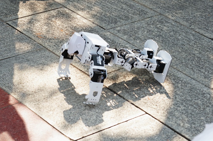 图片5.jpg 图片5.jpg