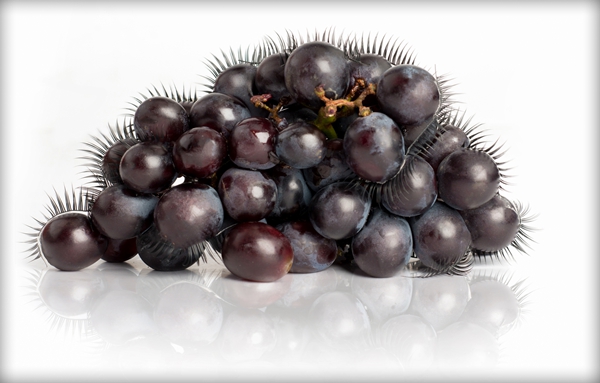 1491360829609067997.jpg _MS08290_副本.jpg