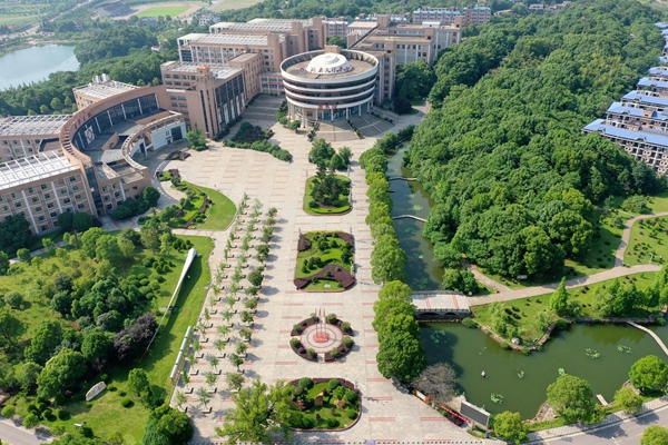 1589896944328073007.jpg 10.jpg