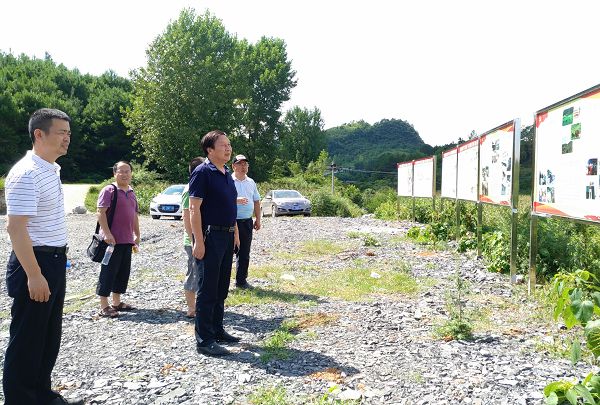 1501948024362081363.jpg IMG_20170726_152856定3.jpg